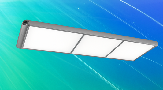 Xingpai New Model lighting set JY-4041